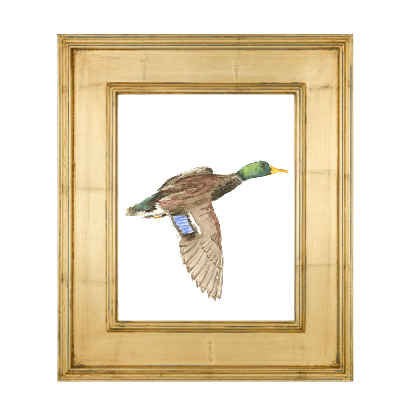 mallard art print