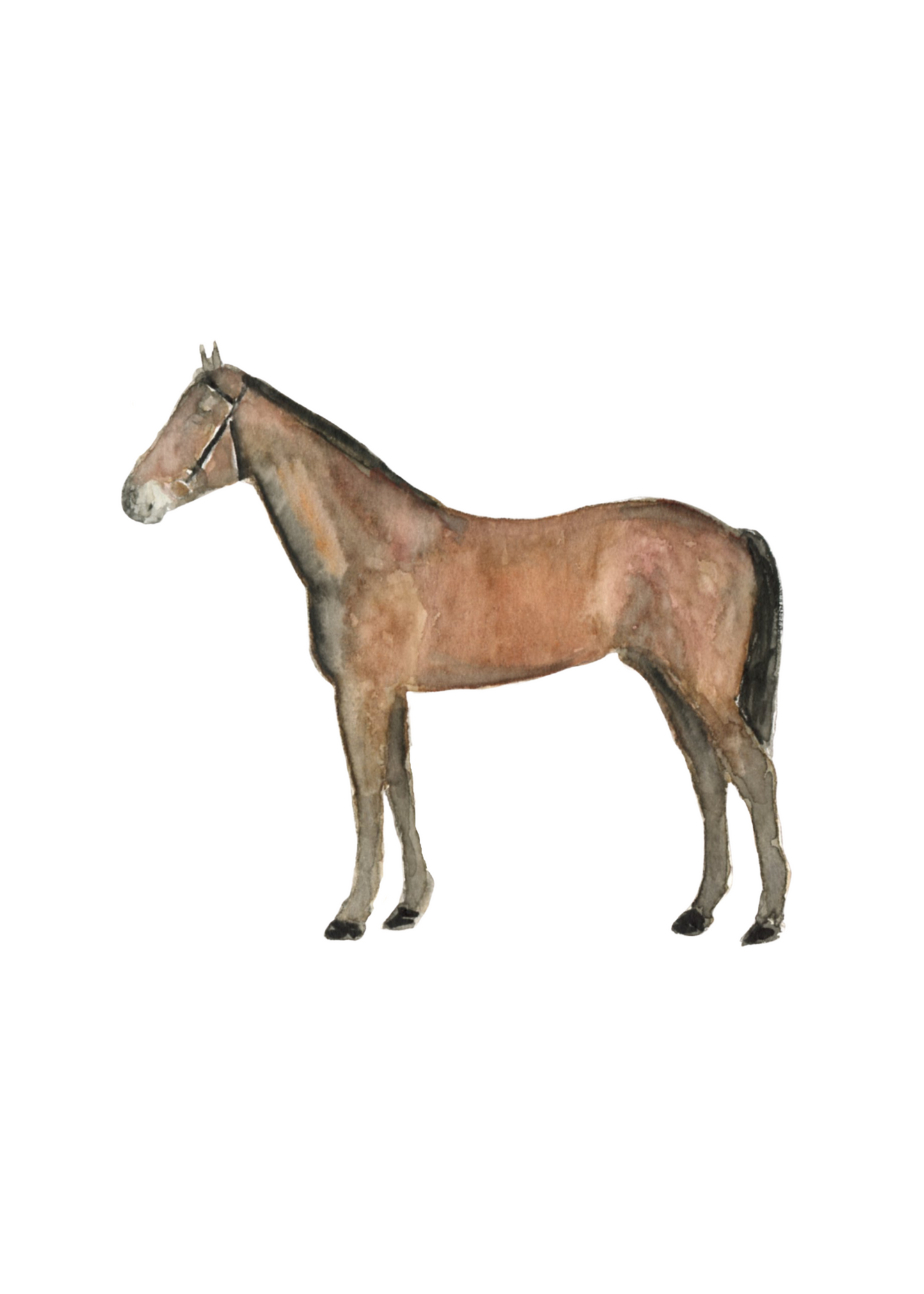 horse standing art print