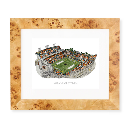 jordan-hare stadium art print