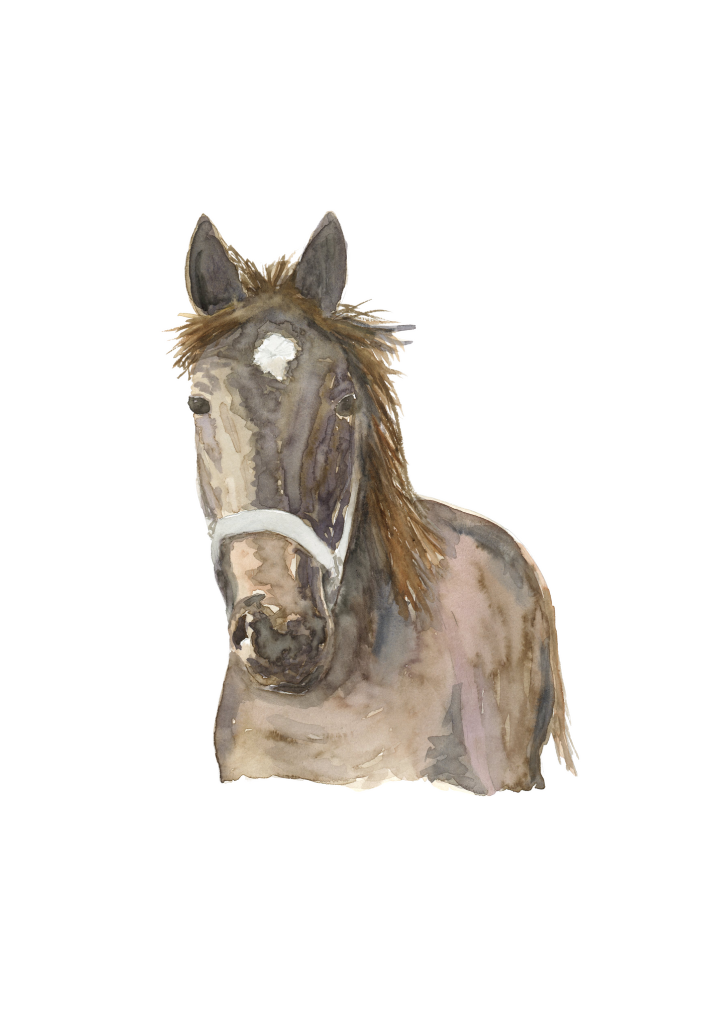 horse bust art print