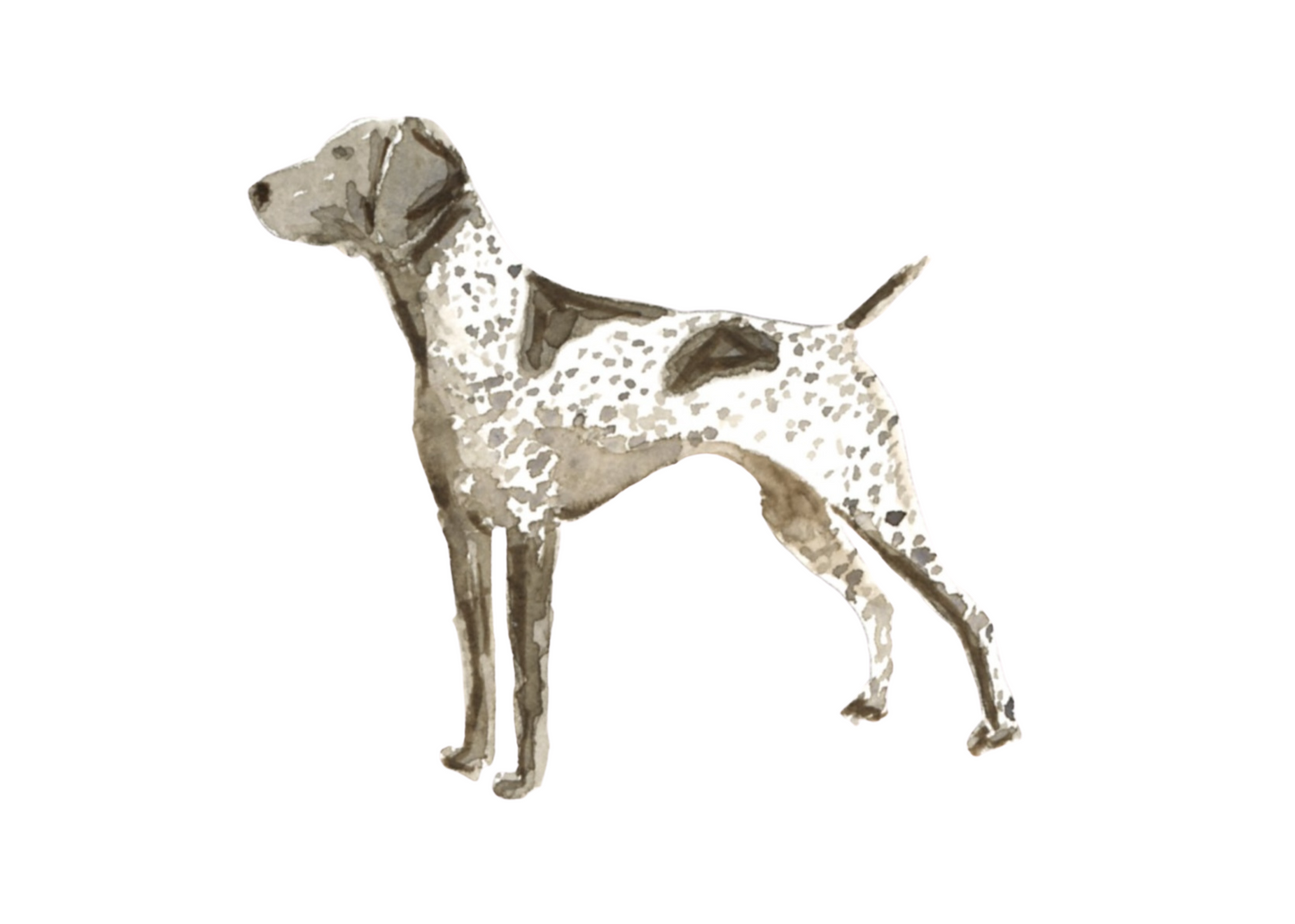 GSP standing art print