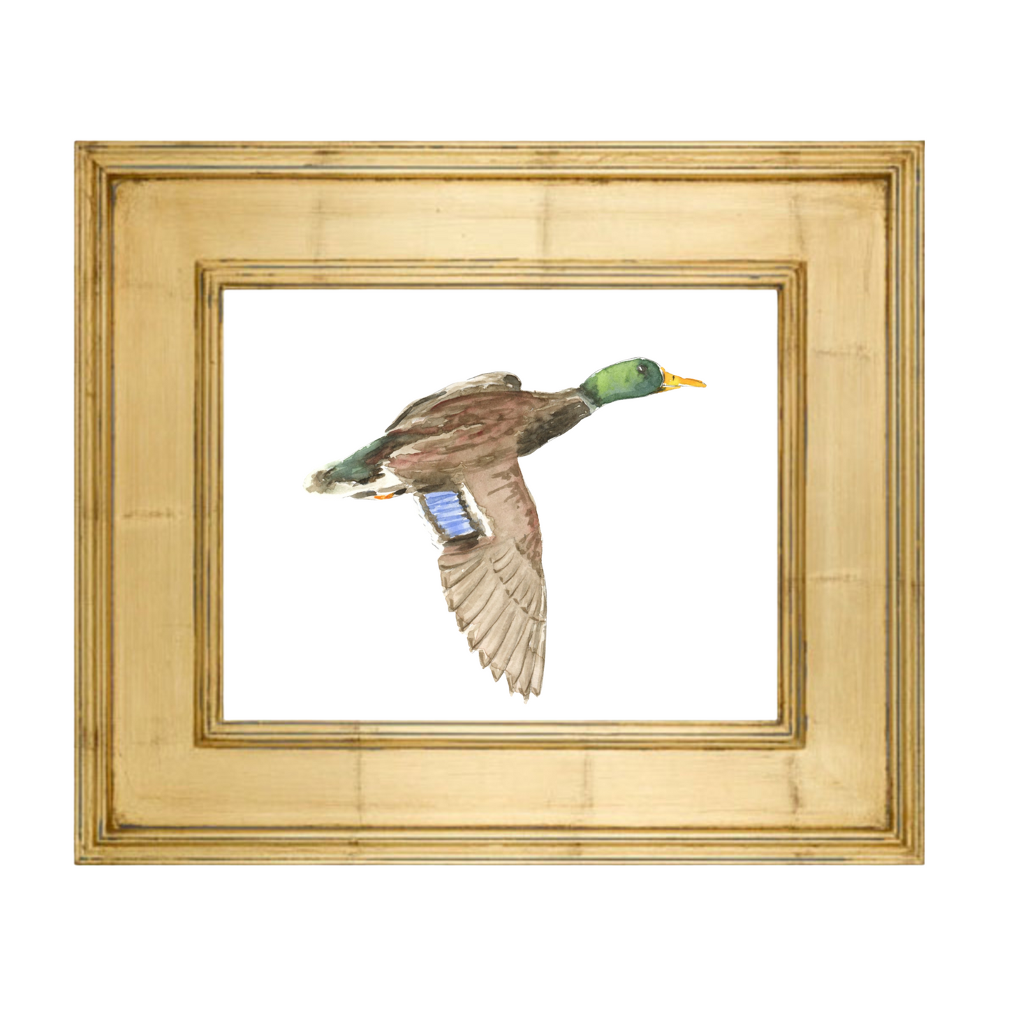 mallard art print