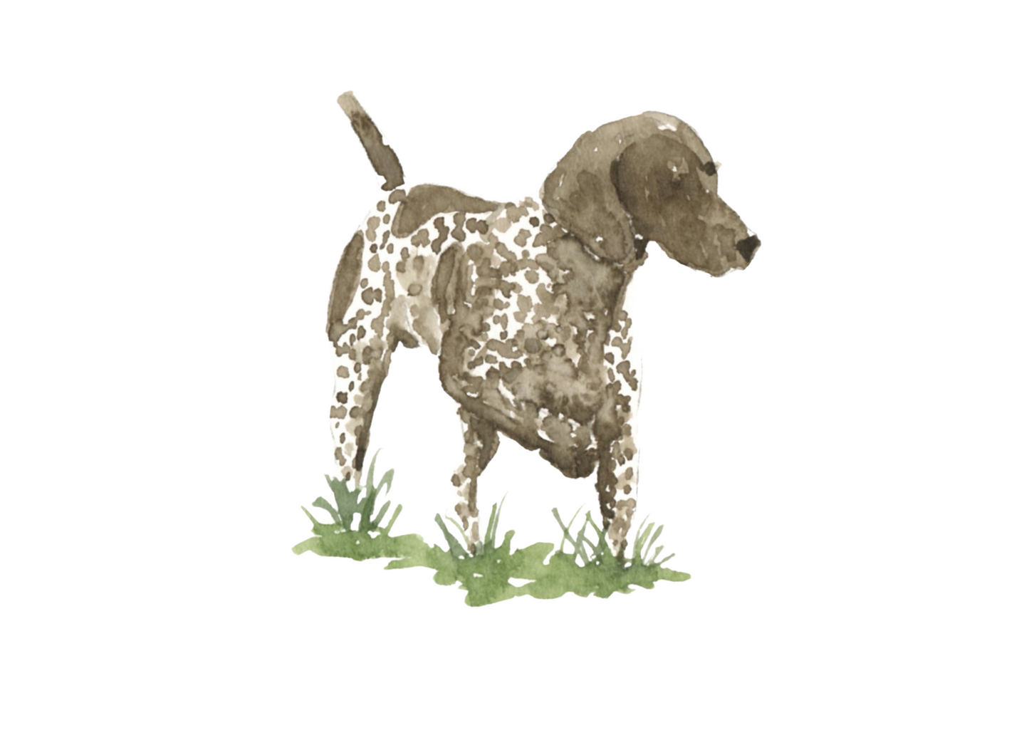 GSP walking art print