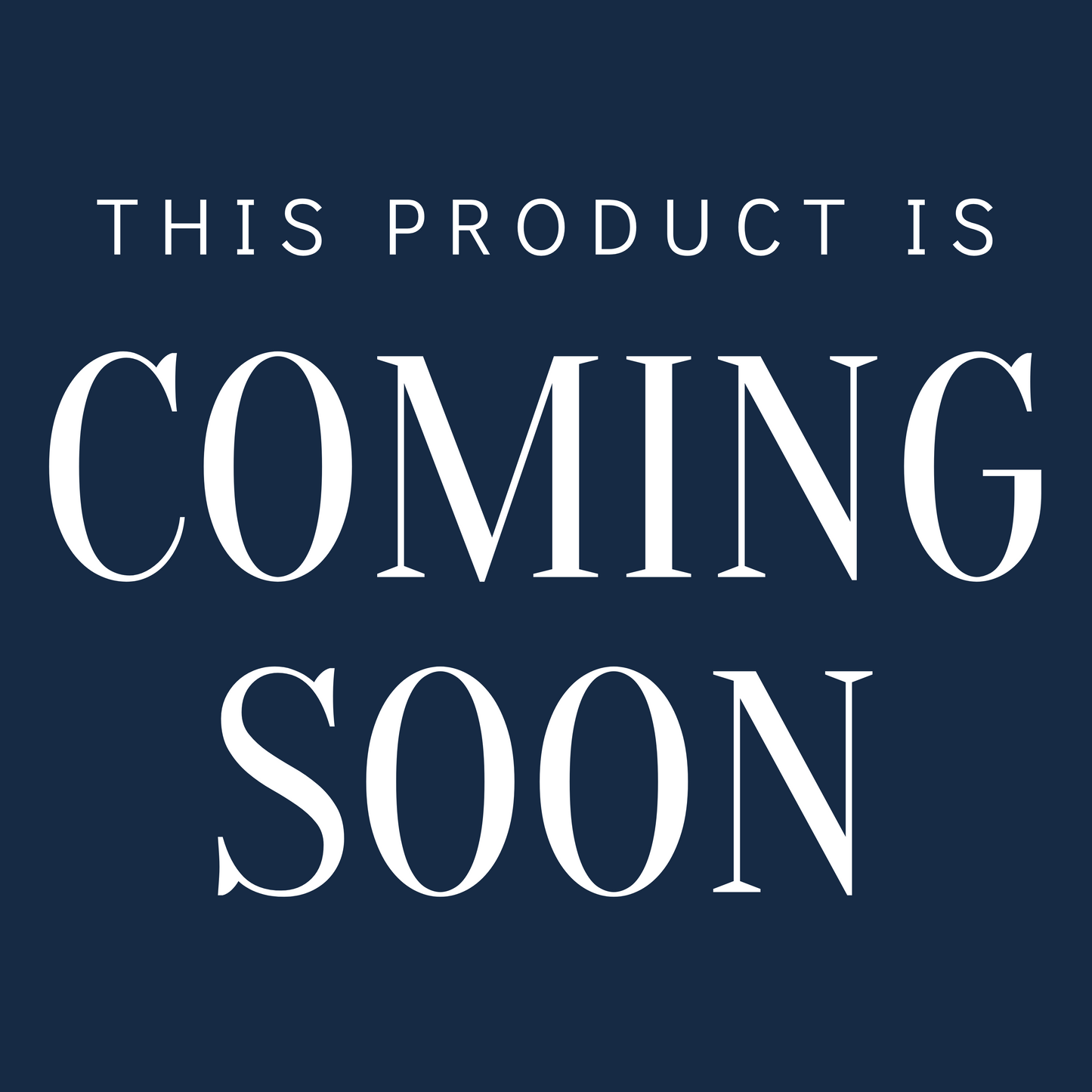 whimsy christmas holiday card