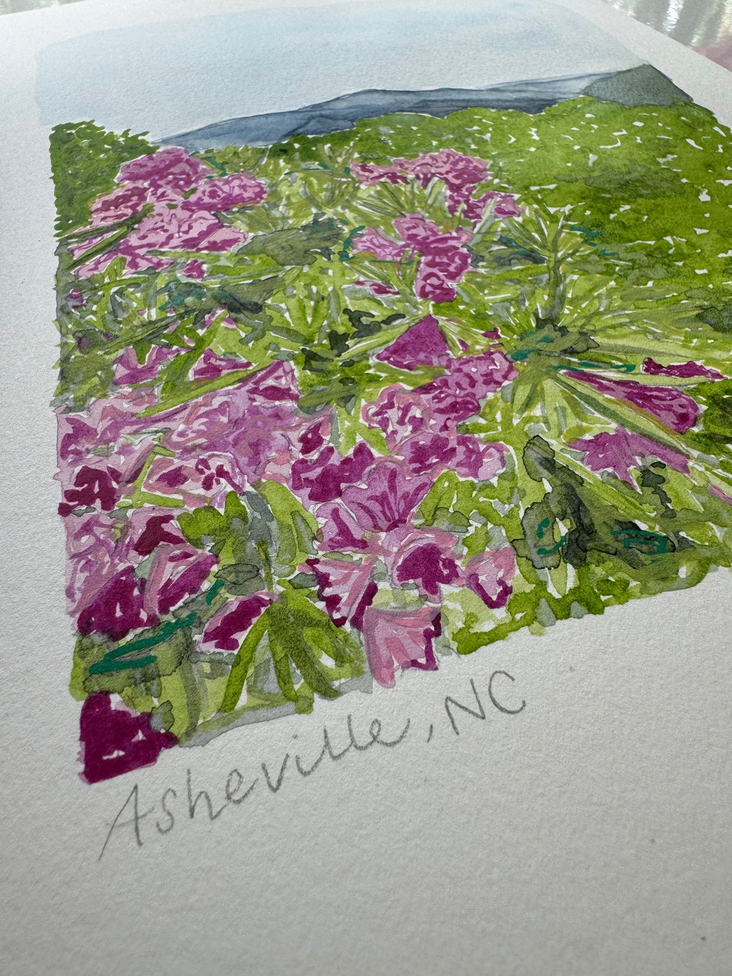 Asheville Landscape original