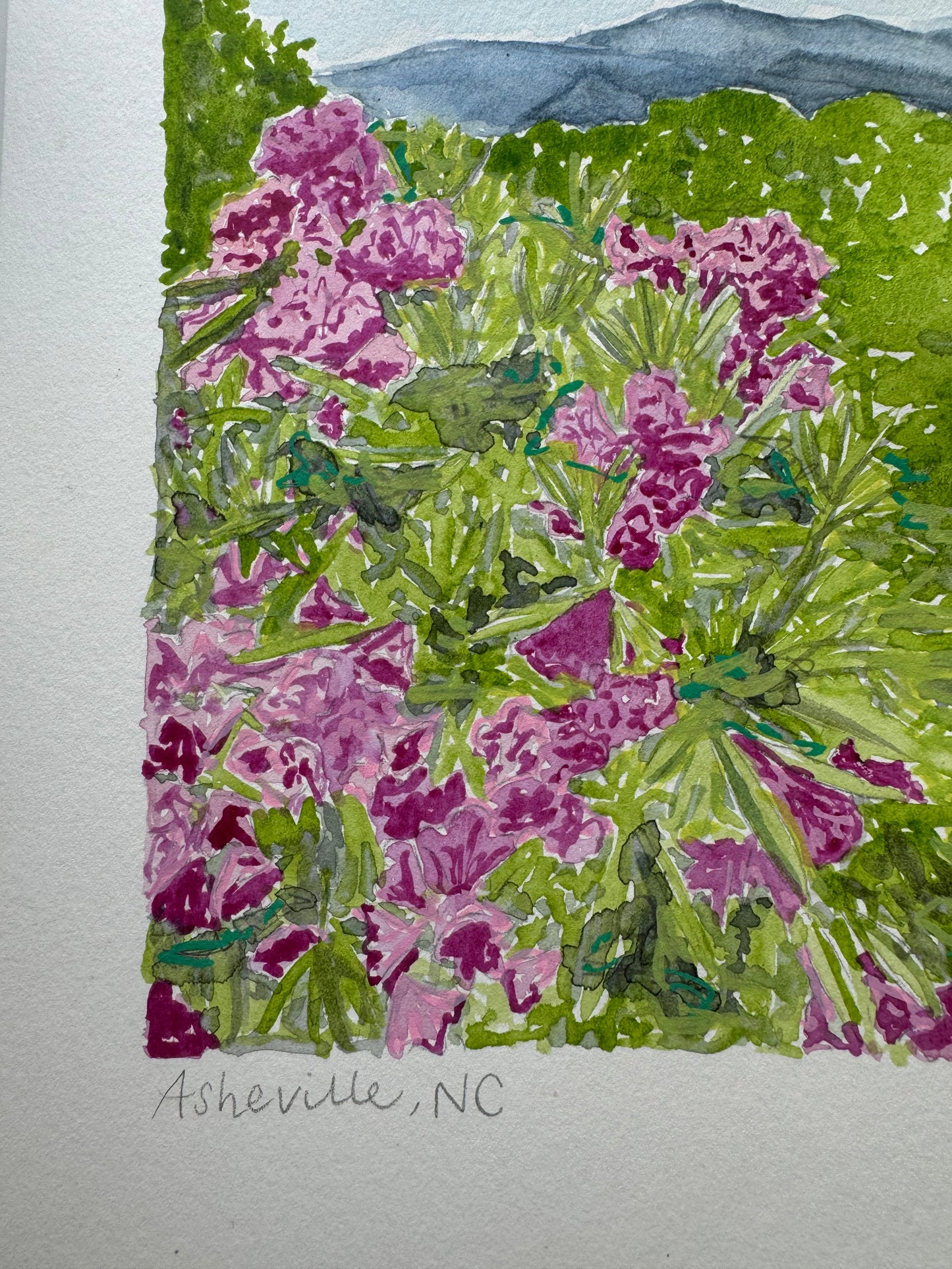 Asheville Landscape original