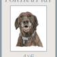 4x6 Custom Pet Portrait KIT