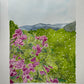 Asheville Landscape original