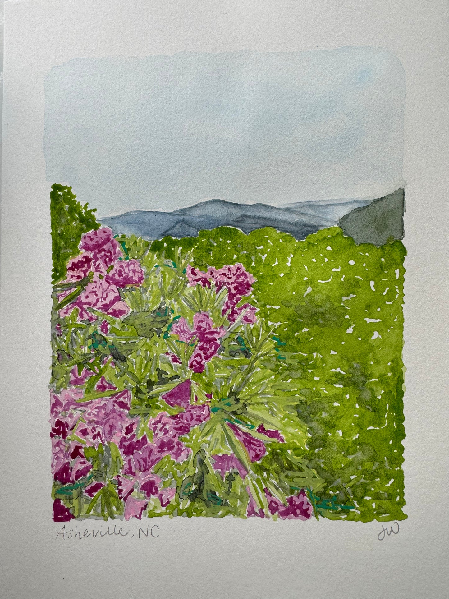 Asheville Landscape original