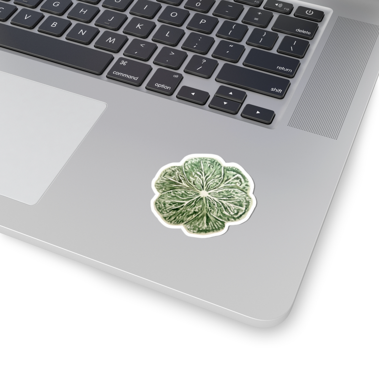 cabbage sticker