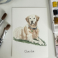 5x7 Custom Pet Portrait KIT