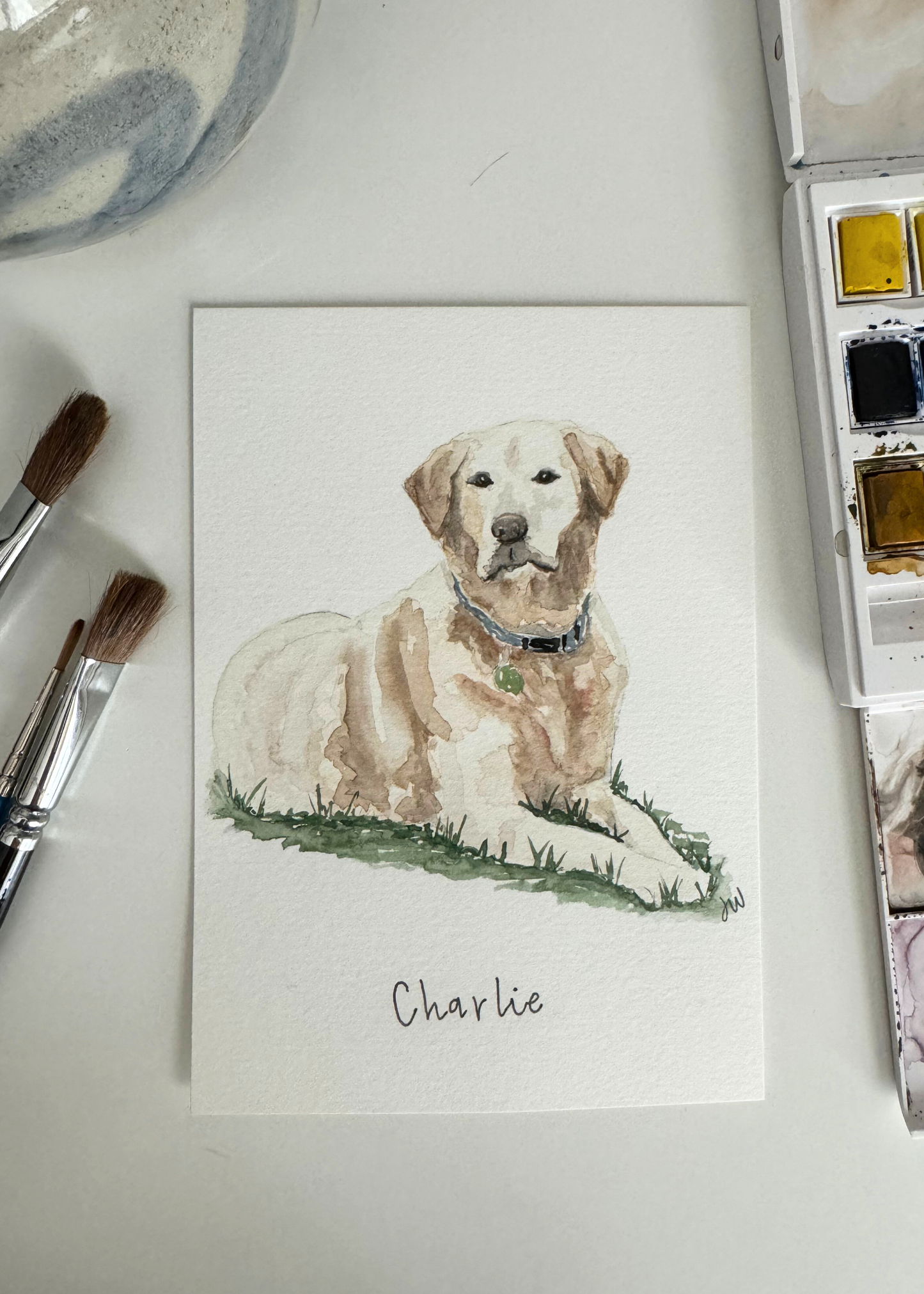 5x7 Custom Pet Portrait KIT